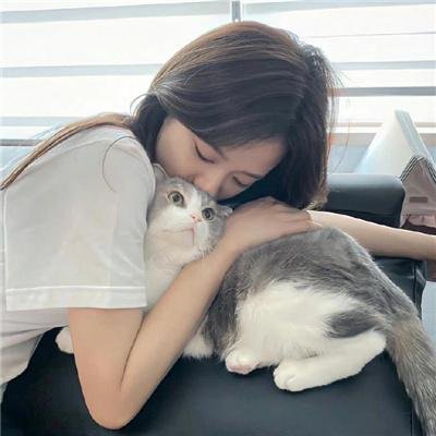 在阳光下腐烂